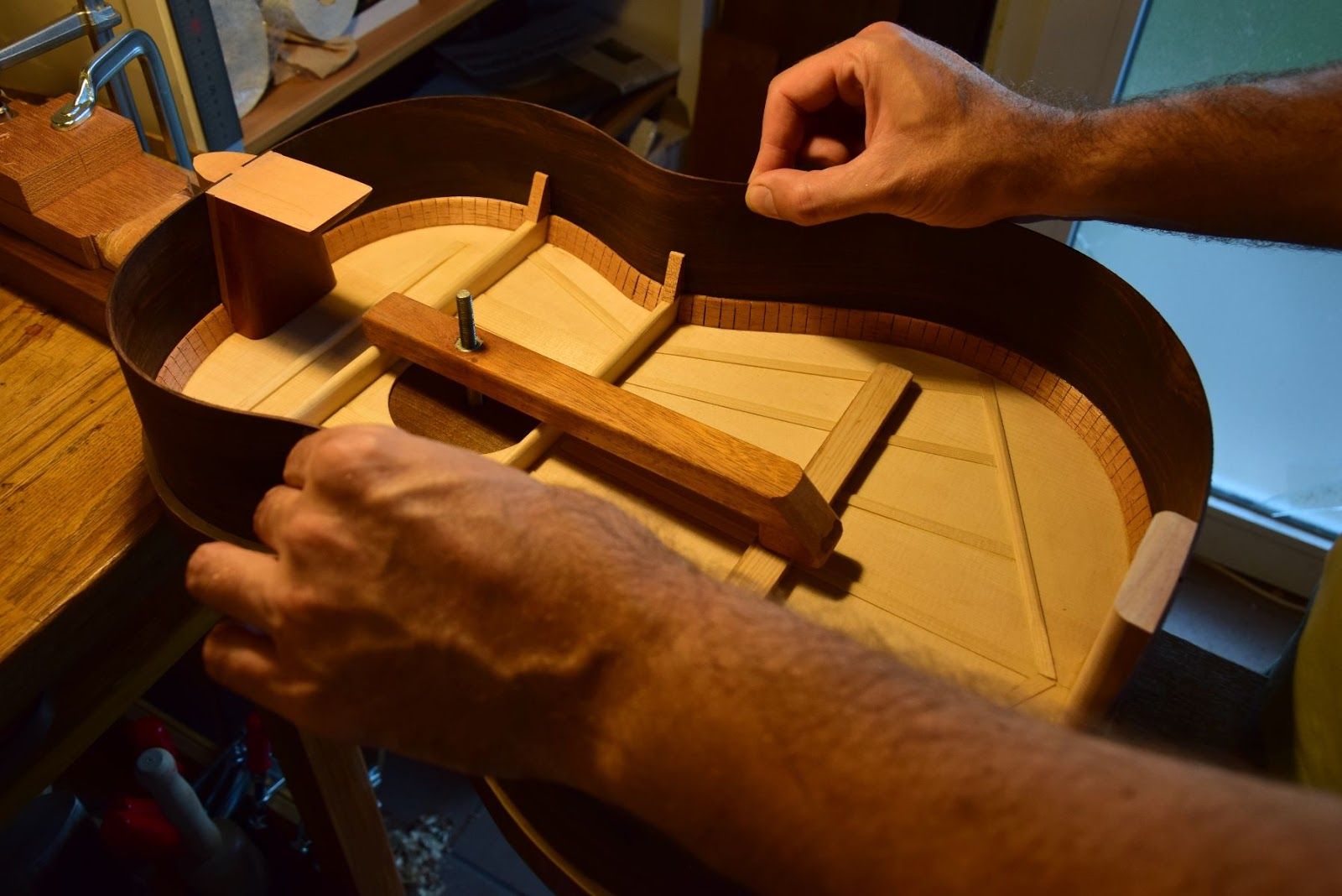 Interior view showing tentellones — individual gluing blocks — inside the body