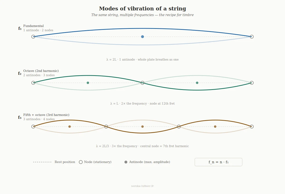Diagram showing the first three modes of vibration of a guitar string — fundamental, octave, and third harmonic — with nodes and antinodes marked