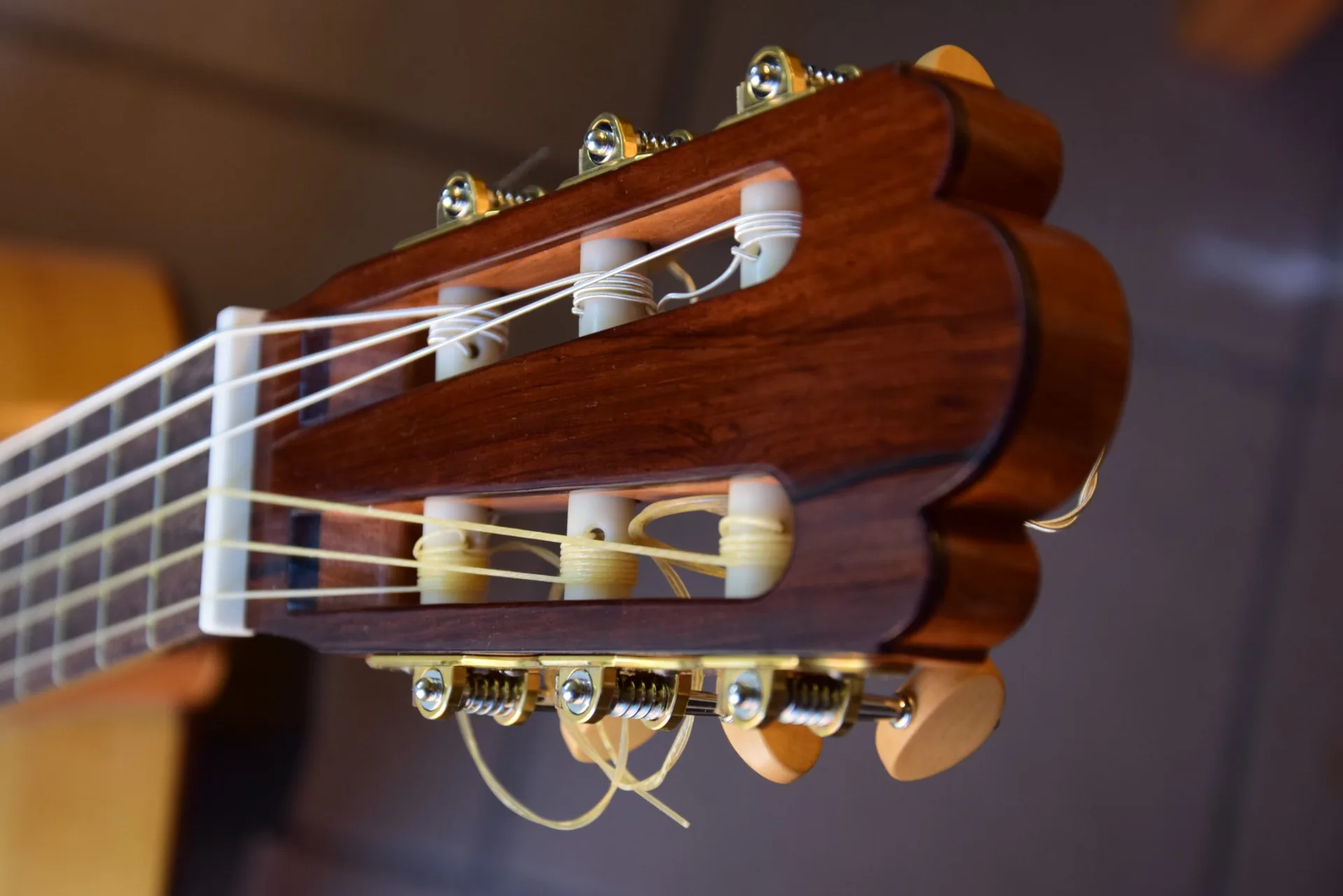 N°33 — photo 8 of 8