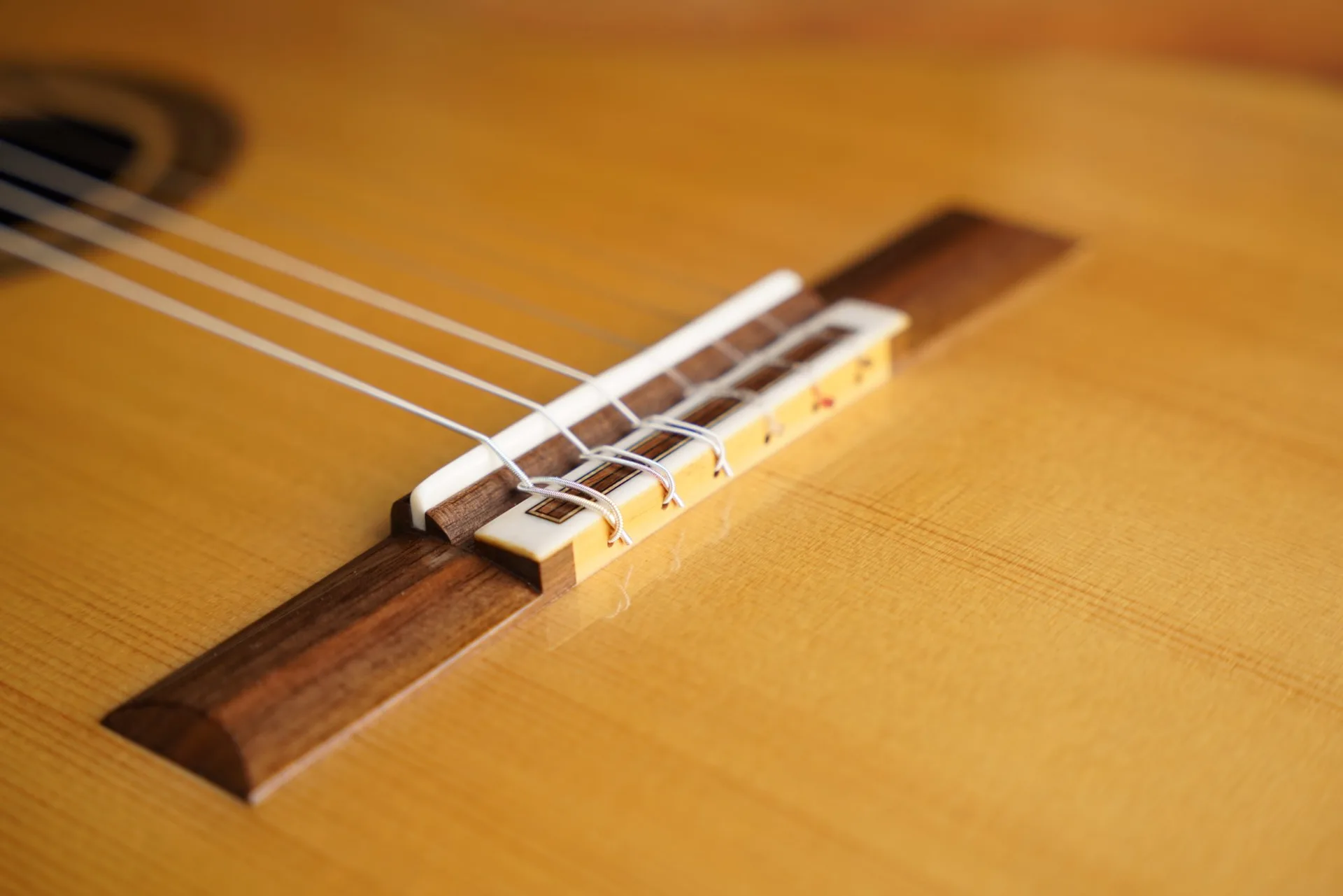 N°62 — photo 10 of 10